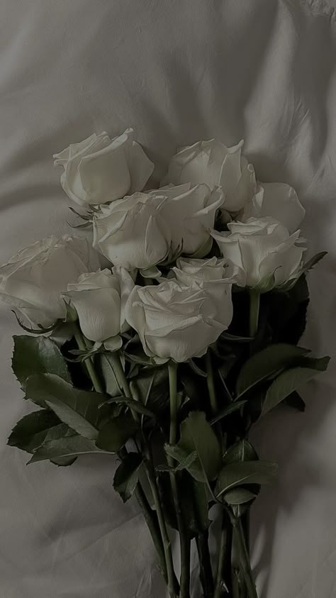 Rose Blanche Aesthetic, Aesthetic Flowers Wallpaper Pastel, Background Aesthetic Flowers, Gris Aesthetic, Rose Flowers Aesthetic, Rose Flower Aesthetic, White Roses Aesthetic, Aesthetic Wallpaper Flower, Wallpaper Aesthetic White