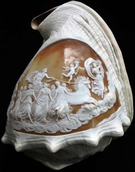 Antique Cameo Jewelry, Goddess Of Love And Beauty, Birth Of Venus, Sandro Botticelli, Classical Design, Sea Spray, Cameo Jewelry, Goddess Of Love, Seashell Art