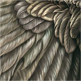 Tutorial – Painting plumage and feathers – Henning Ludvigsen Painting Feathers, Types Of Feathers, Crow Feather, View Painting, Wing Feathers, Painting Birds, Flamingo Painting, Desktop Wallpaper Pattern, Outline Drawings