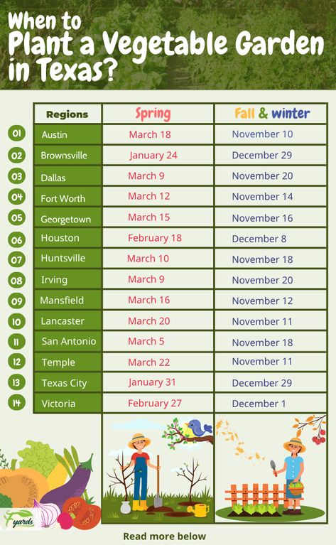 North Texas Gardening Schedule, What To Plant In September In Texas, Texas Planting Zones, Gardening In Dallas Texas, Texas Vegetable Planting Guide, Texas Planting Schedule, Gardening In Houston Texas, East Texas Gardening, Planting Times For Vegetables