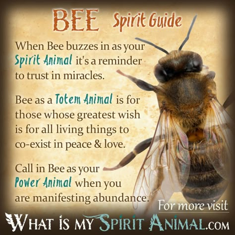 Bee Spirit Totem Power Animal Symbolism Meaning 1200x1200 Bee Meaning, Bee Symbolism, Bee Spirit Animal, God Angels, Animal Totem Spirit Guides, Spirit Animal Quiz, Bee Things, Symbolism Meaning, Spirit Animal Meaning