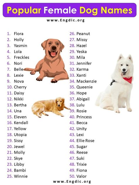 Dog Name List, Female Dog Names Unique, Female Puppy Names, Dog Names Female, Popular Female Dog Names, Dogs Names List, Dog Names Unique, Female Dog Names, Names List