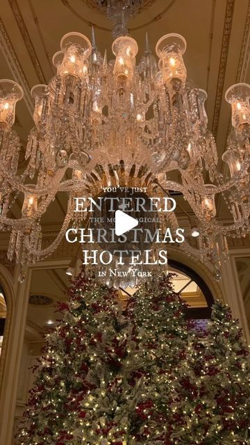 My Christmas in New York | Marco Abbiati on Instagram: "‼️ VISIT them WITH US 👇🏼

Did you know that by joining our “My Christmas Morning in Manhattan” Tour, you will have access to the lobbies of the 3 best Christmas Hotels in New York? PLAZA, PENINSULA, and LOTTE HOTELS

You will also enjoy additional EXCLUSIVE perks:

1️⃣ SKIP the LINE at Midtown Manhattan’s most famous Christmas-themed restaurant, Papillon: all tour guests will have a guaranteed table for lunch, bypassing the line at the entrance

OR (depending on your choice at the time of booking)

2️⃣ Access Lillie’s Victorian Christmas Restaurant BEFORE they open their doors to the general public for exclusive photos with their Christmas decorations, and enjoy a guaranteed table for lunch with delicious small bites and drinks

🔗 Hotel Christmas Decorations Lobbies, New York Christmas Restaurants, Nyc Hotels During Christmas, Bryant Park Winter Village, Christmas Restaurant, Rockefeller Tree, Plaza Hotel New York Christmas, Nyc Rockefeller Center Christmas, Nyc Adventures