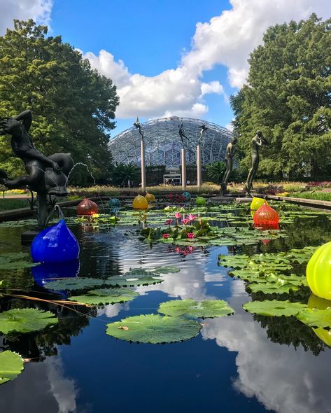 The other day, I made a trip to the Missouri Botanical Gardens for a bit of floral inspiration. To say that nature didn’t disappoint would be the understatement of the century! #missouribotanicalgarden #floraldesign #flowers #surfacedesign #stl #tippergoldkampdesign Missouri Botanical Garden, Floral Inspiration, Botanical Garden, Botanical Gardens, Surface Design, Missouri, Original Art, Floral Design, Flowers