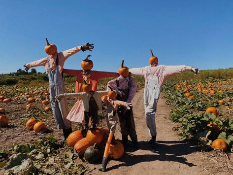 Pumpkin Patch Scarecrow, Scarecrow Aesthetic, Aesthetic Pumpkin Patch, Head Photoshoot, Hay Ride, Aesthetic Pumpkin, 2021 Aesthetic, Halloween Illustration, Halloween Painting