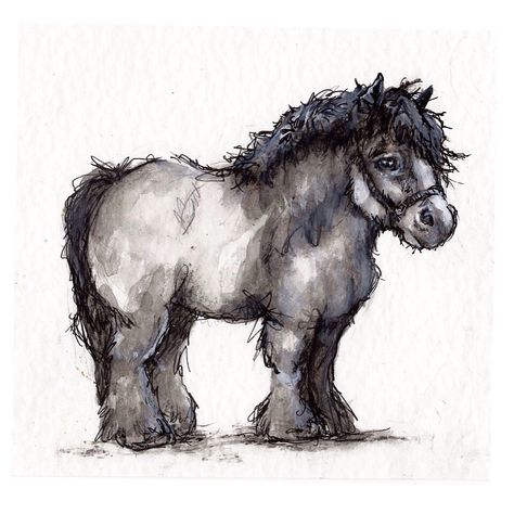 Soggy Shetland Pony By Amelia Player #illustration #equine #shetlandpony Shetland Pony Drawing, Pony Drawing Reference, Pony Sketch, Pony Illustration, Pony Painting, Drawing Horses, Horse Tattoo Design, Horse Art Drawing, Horse Sketch