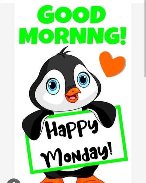 Happy monday, have a great start to the week #happymonday #happymondays #happymondayeveryone #HappyMondayMorningEveryone Funny Monday, Mindful Monday, Happy Mondays, Good Morning Happy Monday, Monday Humor, Cute Memes, Holiday Specials, Happy Monday, Monday Motivation