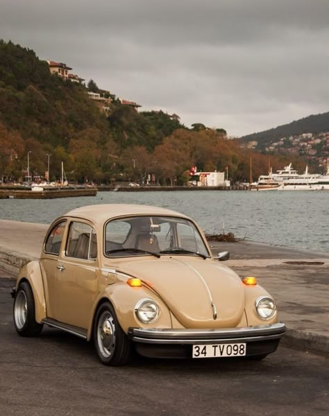 Volkswagen Vintage, Volkswagen Beetle Vintage, Old Volkswagen, Eco Friendly Cars, Vw Classic, Old Vintage Cars, Beetle Car, Volkswagen Bug, Vw Beetle Classic