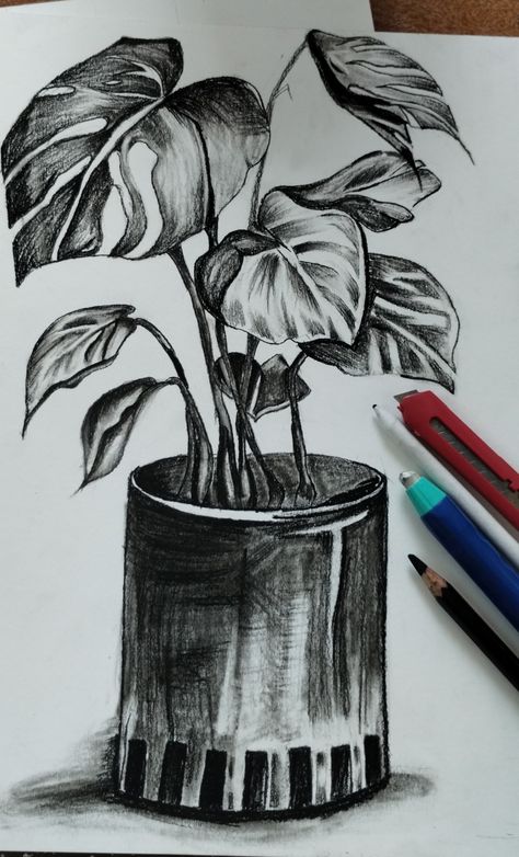 Still Life Shading Drawing, Shading Drawing For Kids, Still Life Shading, Foliage Sketch, Foliage Drawing, Still Life Pencil Shading, Pencil Drawing Pictures, Realistic Flower Drawing, Still Life Sketch