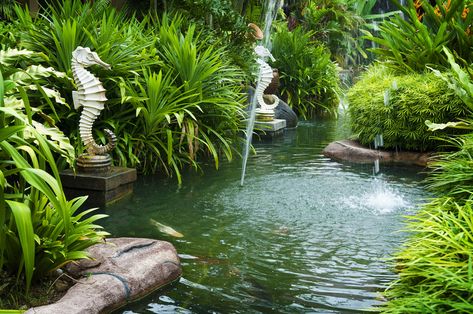 How to Use Feng Shui in Your Garden http://www.corespirit.com/use-feng-shui-garden/ Most people know that feng shui can be used to decorate a home with a better flow, but what about using feng shui for your garden? Instead of your garden layout functioning as a random plot of land, try considering the placement and purpose of the space. Feng shui can transform your garden from... Backyard Water Features, Delta Waves, Feng Shui Garden, Sleeping Music, Outdoor Sitting, Natural Swimming Ponds, Meditation Youtube, Outdoor Sitting Area, Swimming Pond