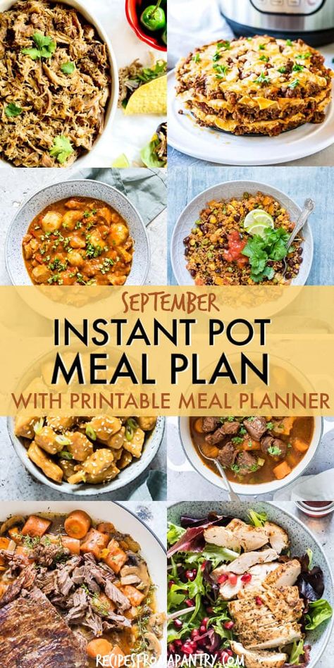 Are you looking for the BEST Instant Pot Meal Plan?? You've found it! This meal plan includes 4 weeks of Instant Pot main meals plus an assortment Instant Pot side dishes, Instant Pot breakfasts and Instant Pot desserts. All Instant Pot recipes are labeled with dietary trends (e.g., vegan, gluten-free, low carb). You will love all of these easy Instant Pot recipes! #instantpot #instantpotrecipes #instantpotmeal #mealplan #instantpotmealplan #pressurecooker #pressurecookerrecipes Side Dishes Instant Pot, Instant Pot Meal Plan, Instant Pot Side Dishes, Instant Pot Desserts, Tarte Vegan, Vegan Crockpot Recipes, Bariatric Sleeve, Vegetarian Instant Pot, Healthy Instant Pot Recipes