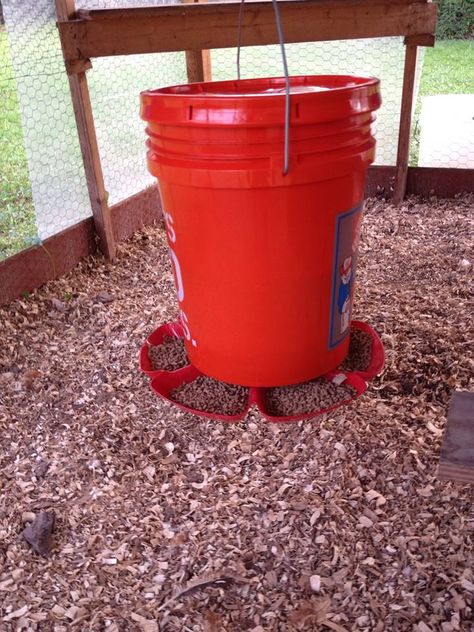 Bucket Chicken Feeder, Poultry Farm Buildings, Chicken Hut, Chicken Feeder Diy, Broiler Chicken, Backyard Coop, Chicken Feeders, Backyard Poultry, Backyard Chicken Coop Plans