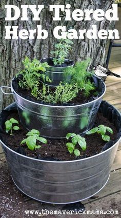 Beautiful Container Herb Gardens - Family Food Garden Plantarea Legumelor, Diy Container Gardening, Container Herb Garden, نباتات منزلية, Garden Types, Herbs Indoors, Organic Gardening Tips, Garden Care, Easy Garden