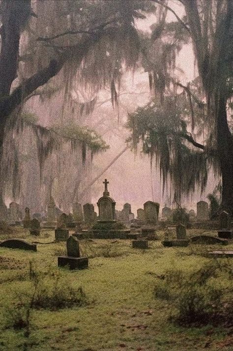 Creepy Town Aesthetic, Deep South Aesthetic, Creepy Town, South Aesthetic, Paradis Sombre, Cinema Arts, Southern Gothic Aesthetic, Magnolia Stellata, Ange Demon