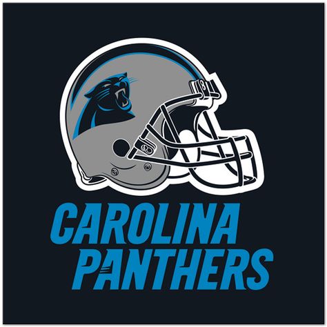 Nfl Party, Oakland Raiders Fans, Panther Pride, Dallas Cowboys Women, Panther Nation, Carolina Panthers Football, Football Life, Panthers Football, Football Cheer