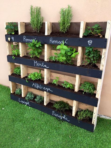 horta vertical Gardening Vertical, Gardening Style, Palette Garden, Herb Garden Wall, Plant Walls, Deck Inspiration, Vertical Pallet Garden, Small Vegetable Gardens, نباتات منزلية