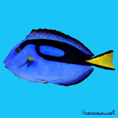 Blue Tang Fish Drawing, Dori Drawing, Dory From Finding Nemo, Dory Drawing, Sea Life Tattoos, Dory Fish, Mini Sketchbook, Blue Tang Fish, Dory Finding Nemo