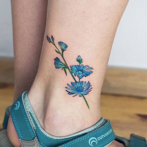 Chicory Tattoo by Anna Botyk Chicory Tattoo, Tattoo Leg Woman, Simple Lotus Tattoo, Wheat Tattoo, Botanical Tattoo Design, Botanical Tattoos, Rose Tattoo On Arm, Floral Tattoo Shoulder, Embroidery Tattoo