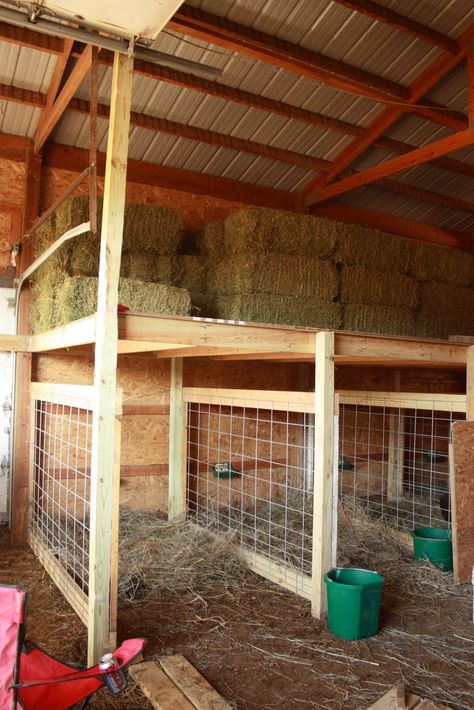 Kinder® Communique': Building pens Goat Shed, Goat Pen, Goat Shelter, Hay Storage, Goat House, Goat Care, Goat Barn, Raising Goats, Homestead Farm