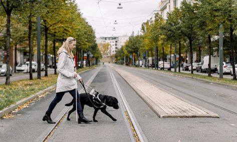 Traveling with a Service Dog: What to Know - NerdWallet Blind Woman, Balance Transfer Credit Cards, Cash Out Refinance, London Hotel, Best Travel Credit Cards, Tips For Traveling, Retirement Fund, Assistance Dog, Investment Accounts