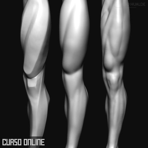 Anatomy Drawing Practice, Zbrush Anatomy, Leg Anatomy, Human Muscle Anatomy, Human Anatomy Reference, 3d Karakter, Zbrush Tutorial, Man Anatomy, Anatomy Sculpture