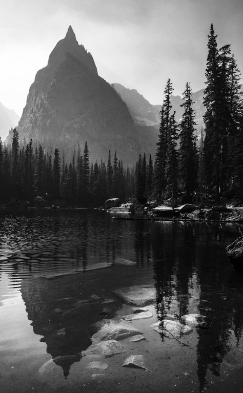 Lake Tattoo, Filigree Tattoo, Dark Mountains, Landscape Tattoo, Forest Tattoos, Mountain Tattoo, Mountain Photography, Sleeve Tattoos For Women, Black White Photos