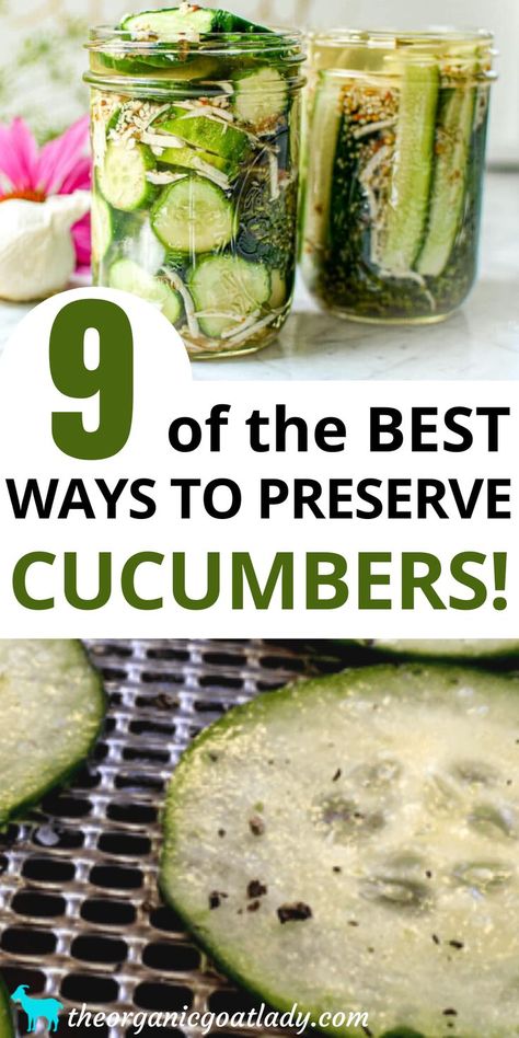 Storing Cucumbers From Garden, How To Store Cucumbers From Garden, What To Do With Cucumbers From Garden, Canning Cucumbers, Preserve Cucumbers, Preserving Vegetables, Food Preserving, Preserving Foods, Canning Pickles