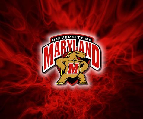 * Get Great Discounts In The Maryland Terrapins Gear Sale! Maryland Wallpaper, Good Phone Backgrounds, Florida State Seminoles Football, Maryland Terrapins, University Of Maryland, Wallpaper Dekstop, Wallpaper Cave, Wallpaper Pictures, Wallpaper Pc