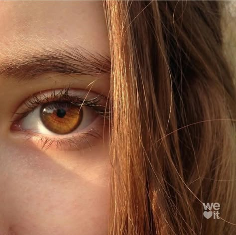 Amber Brown Eyes, Isabella Aesthetic, Honey Eyes, Brown Eyes Aesthetic, Maquillage Yeux Cut Crease, Eyes Aesthetic, Beautiful Eyes Color, Amber Eyes, Alice Cullen