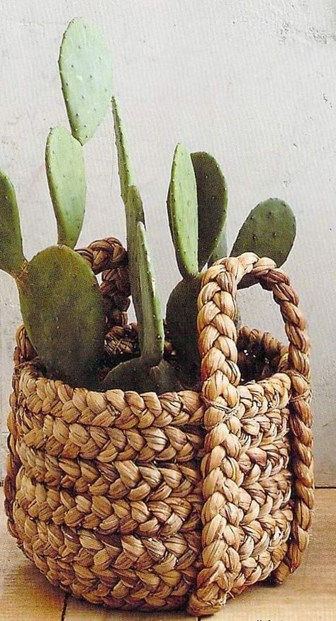 Plantana Baskets - Set Of 2 – BURKE DECOR Plant Basket Diy, Gardening For Dummies, Crochet Easter Basket, Tall Basket, Crochet Storage Baskets, Basket Diy, Plants Pots, Kitchen Basket Storage, Bathroom Basket Storage