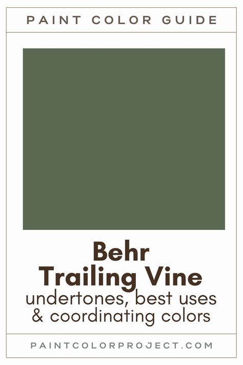 Behr Green Color Palette, Forest Green Paint Color Behr, Behr Incognito Paint, Vine Leaf Behr Paint Color Palette, Behr Cypress Vine Paint, Behr Earthy Green Paint Colors, Trailing Vine Behr Paint, Behr Paint Green Cabinets, Equestrian Green Behr