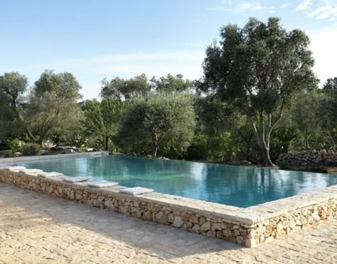 Raised Pools, Kleiner Pool Design, Stone Pool, Pool Landscape Design, Small Pool Design, Natural Swimming Pools, Luxury Pools, Small Pools, Dream Pools