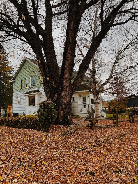 canadian autumn, fall in northern ontario, leaves falling, fall aesthetic Northern Ontario Aesthetic, Canadian Farmhouse, Ontario Aesthetic, Canadian Autumn, Canadian Aesthetic, Canada Vibes, Northern Ontario, Leaves Falling, Turn Blue