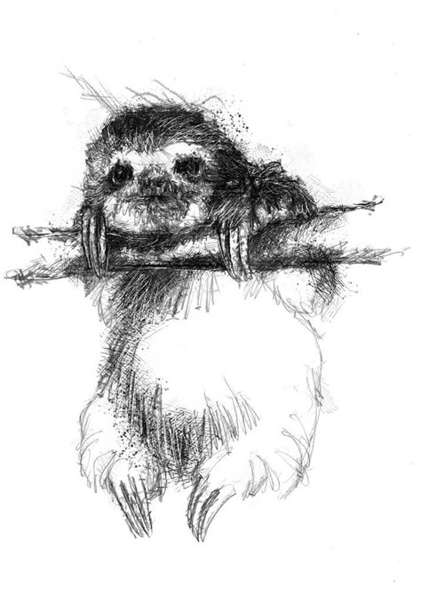 Sloth Sketch, Charcoal Sketching, Creative Doodles, Sloth Drawing, Ink Animals, Sloth Tattoo, Learn To Sketch, Sloth Art, Pencil Drawings Of Animals