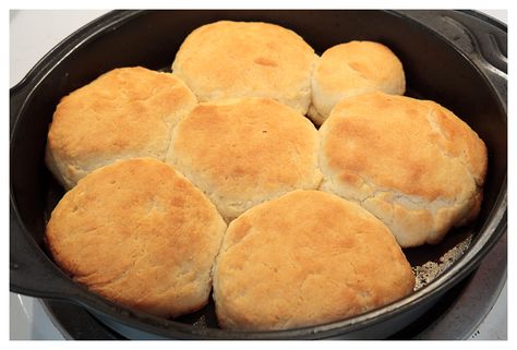 Duke's Mayo Biscuit Recipe w/pic!>>> - Georgia Outdoor News Forum Biscuits With Mayonnaise, Mayonnaise Biscuits Simple, Mayonaise Biscuits Recipe, Mayo Biscuits, Mayonaise Biscuits, Mayonnaise Biscuits, Dukes Mayo, Easy Biscuits, Biscuits Recipes