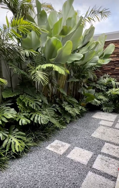 Whether you seek a vibrant escape or a place to find inspiration, our Tropical Garden Design Landscaping is a testament to the endless beauty that nature can offer. #TropicalGarden #LandscapingDesign #ExoticFlora #NatureInspired #BotanicalParadise #GardenEscape #TropicalOasis #LushFoliage #RelaxationRetreat #HorticultureMagic Tropical Backyard Landscaping, Vertikal Garden, Bali Garden, Tropical Landscape Design, Florida Landscaping, Tropical Garden Design, Tropical Backyard, Gardening Projects, Modern Backyard Landscaping