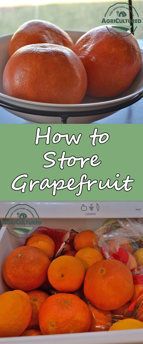 Buy grapefruit in bulk when they are in season and enjoy them all year long. Find out how to store grapefruit to use now, in a few days, and in a few months. Honey Buzzard, Grapefruit Recipes, Food Preserving, Citrus Tree, Canning Jams, Meat Processing, Fruit Crisp, Basic Kitchen, Canning And Preserving