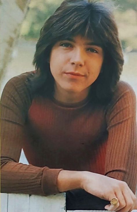 80s Icons, The Partridge Family, Partridge Family, David Cassidy, That Smile, Partridge, Awesome Pictures, In Love, New York