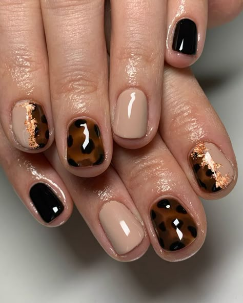 nail art, nail Inspo, cheetah nails, leopard nails, nail design, tan nails, black nails, tan nails, cheetah print nails, gel nails, gel manicure, nail manicure, classy nails, trendy nails, fall nails, short nails, stylish nails. Short Nail Art Designs Winter, Brown And Gold Foil Nails, Short Gel Manicure Fall, Torti Nails Design, Torties Nails, Fall Gel Manicure Ideas For Short Nails, French Nail Aesthetic, Long Nail Aesthetic, Gold Gel Nail Designs