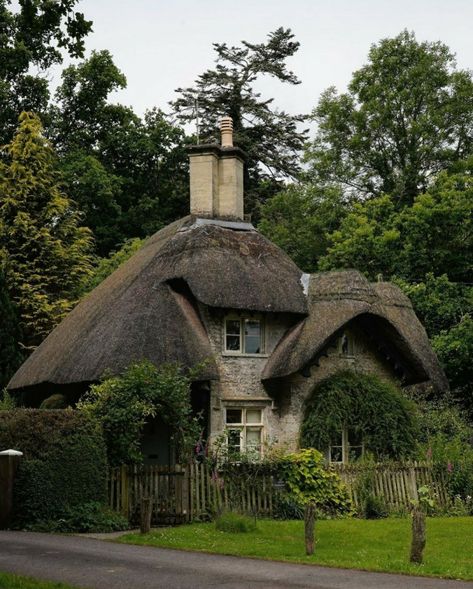 Tree Cottage, Pear Tree, British Countryside, Cottage Farmhouse, English Cottage, Facade House, Beautiful Buildings, Cottage Homes, House Inspiration