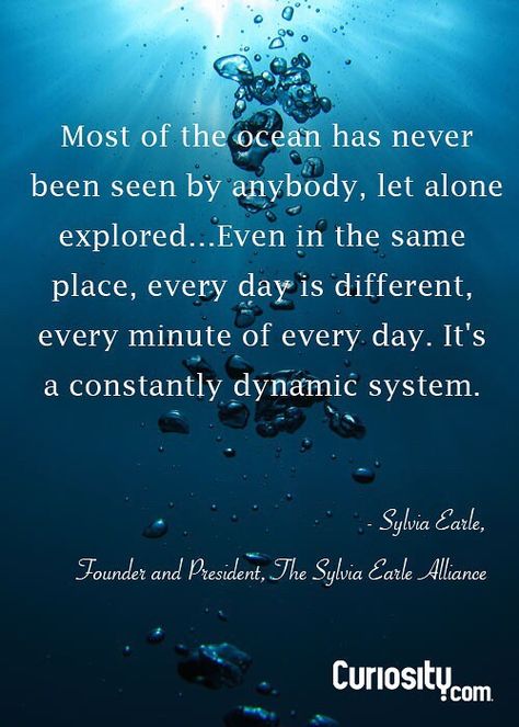 Sylvia Earle, Curiosity Quotes, Oceanography Marine Biology, Scuba Diving Quotes, Diving Quotes, Ocean Quotes, Red Or Black, Get A Job, Marine Biologist