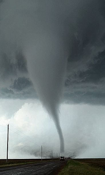 tornado   gif Scary Tornado, Sandrah Hellberg, Mental Alchemy, Tornado Gif, Tornado Pictures, Sky Watch, Storm Chasing, Wild Weather, Atmospheric Phenomenon