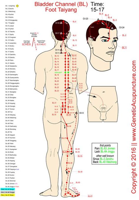 Bladder Meridian, Traditional Chinese Medicine Acupuncture, Meridian Acupuncture, Polarity Therapy, Meridian Points, Gall Bladder, Reflexology Massage, Shiatsu Massage, Energy Medicine