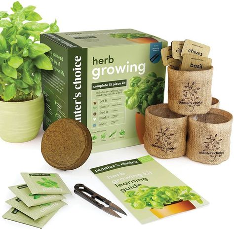 Herb Window Garden, Herb Window, Herb Growing, Cooking Gifts, Seed Starter Kit, Growing Basil, Herb Garden Kit, Indoor Herb, Seed Starter