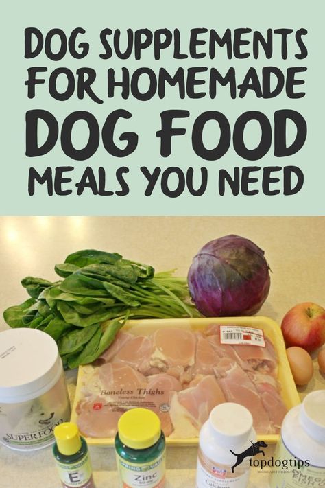 How To Make Dry Dog Food Homemade, Diy Dog Vitamins, Dog Nutrition Supplements, Homemade Dog Food Bulk, Balance It Dog Food, Dog Food Business, Homemade Dog Vitamins, Nutritious Homemade Dog Food, Homemade Dog Food For Skin Allergies