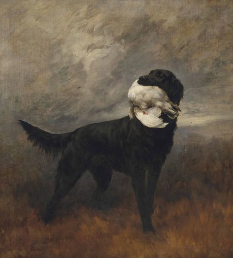 Maud Earl (1864-1943) A black retriever in an extensive mountainous landscape Black Retriever, Timmy Turner, Mountainous Landscape, York England, Arte Peculiar, Yennefer Of Vengerberg, My Notes, Rennaissance Art, 19th Century Paintings