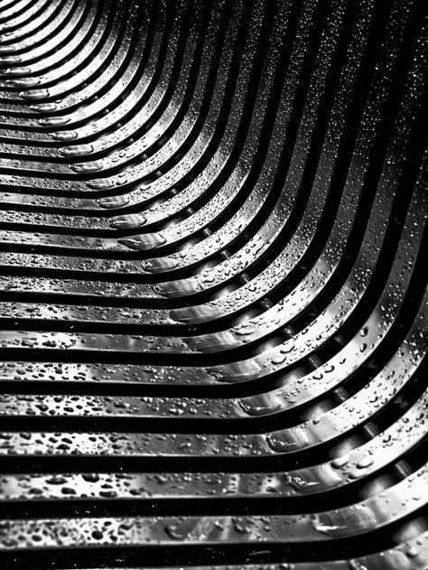 Example Of Abstract, Macro Photography Tips, Foto Macro, Line Photography, Photography Macro, Pattern Photography, Texture Photography, Black And White Photograph, Principles Of Design