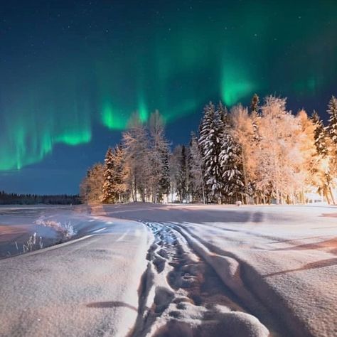 The North Pole, North Aesthetic, North Pole Alaska, North Pole Aesthetic, Santa Claus House, Pole Nord, Snowy Forest, North Pole, A Christmas Story