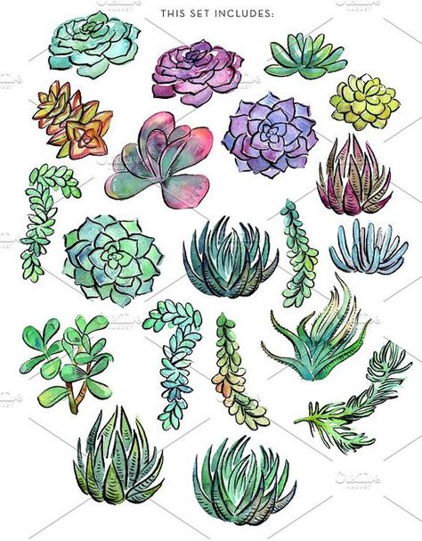 Donkey Tail Succulent, Succulent Drawing, Succulents Drawing, Succulent Painting, Cactus Drawing, Watercolor Succulents, Succulent Art, Plant Drawing, Botanical Drawings