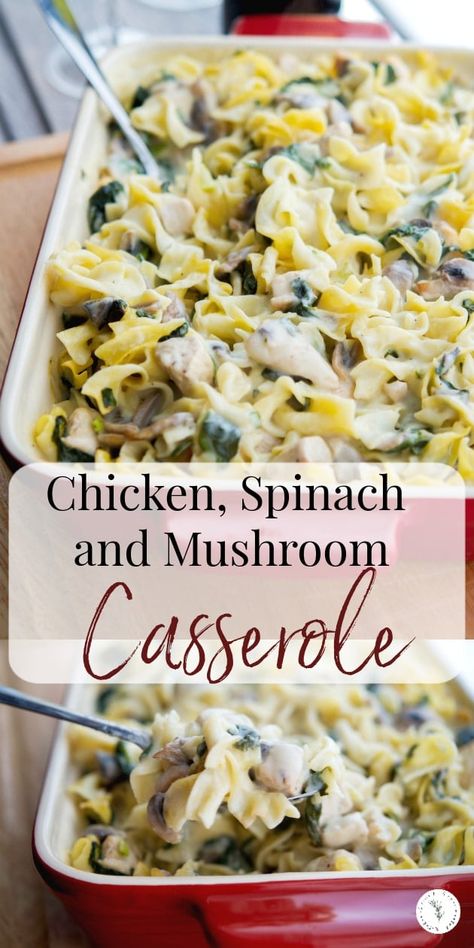 Chicken, Spinach & Mushroom Casserole makes for the perfect weeknight meal. Prepare ahead of time and reheat for those busy weeknights too. #pasta #chicken #casserole Creamy Chicken Spinach, Chicken Spinach Mushroom, Chicken And Spinach Casserole, Spinach Casserole Recipes, Chicken Mushroom Casserole, Spinach Mushroom Pasta, New Chicken Recipes, Spinach And Mushroom, Casserole Chicken